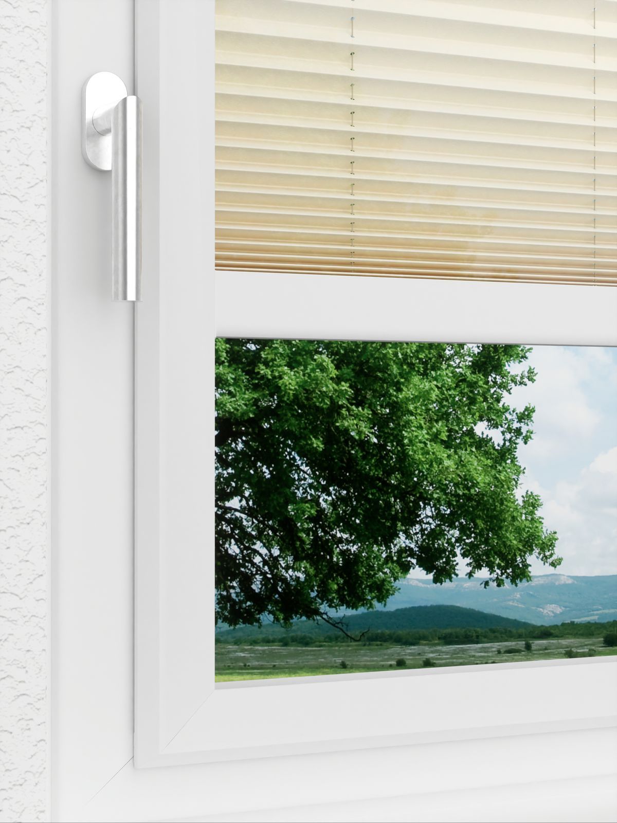 Detailansicht LYSEL HOME Plissé 207A Aralia