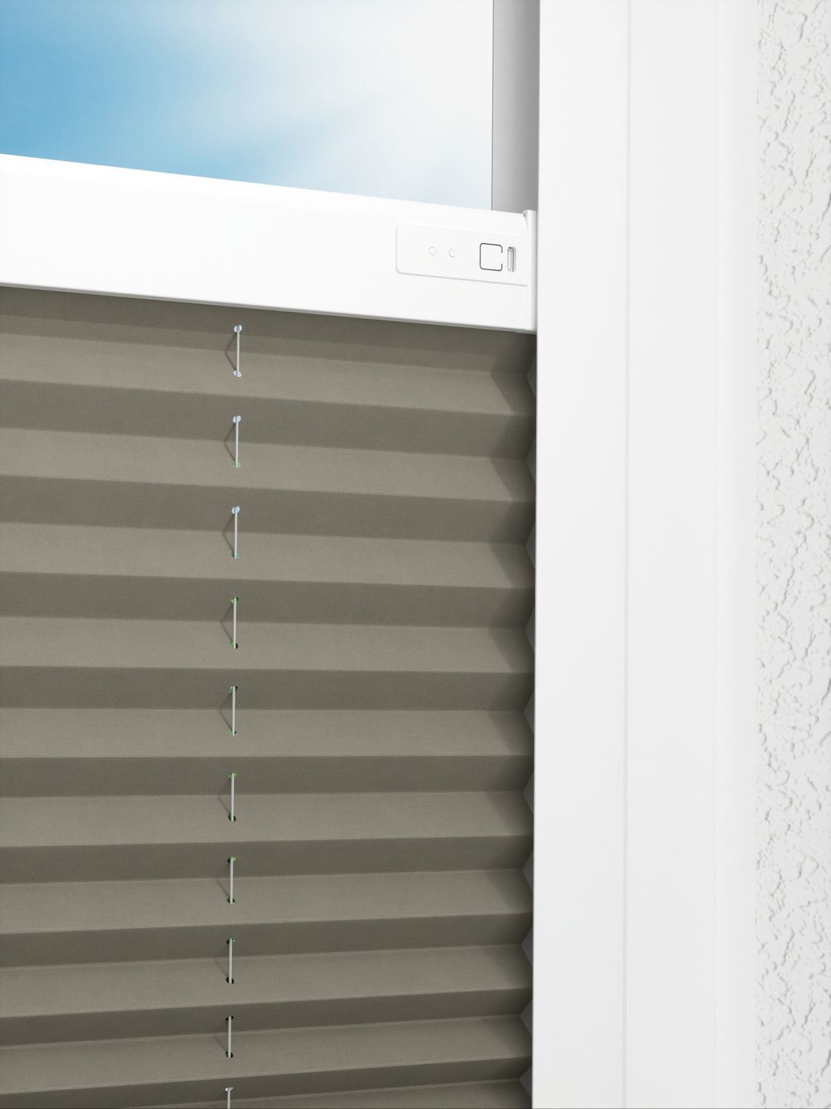 Detailansicht LYSEL HOME Plissé 221A Pinus BO