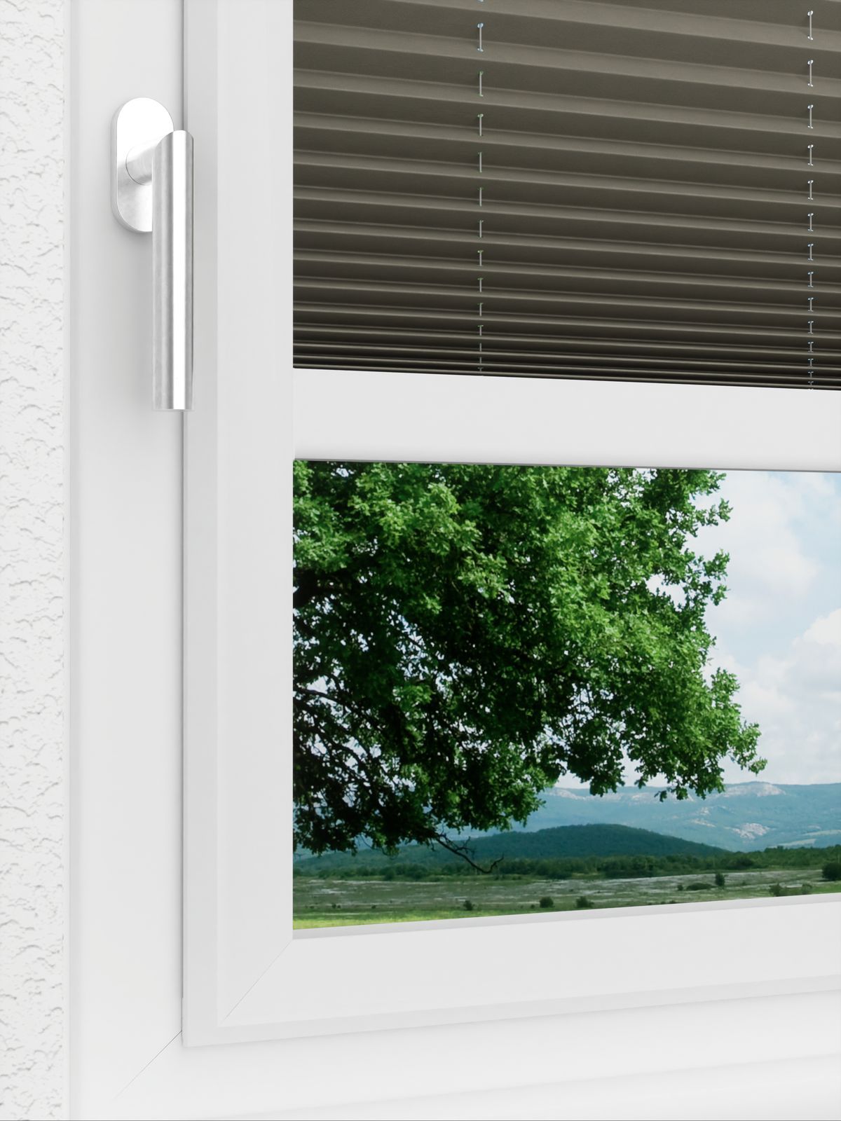 Detailansicht LYSEL HOME Plissé 221A Pinus BO