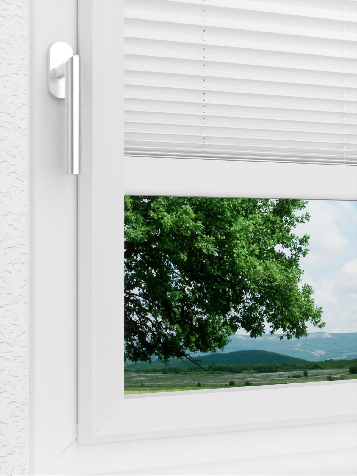 Detailansicht LYSEL HOME Plissé 103B Aralia BO