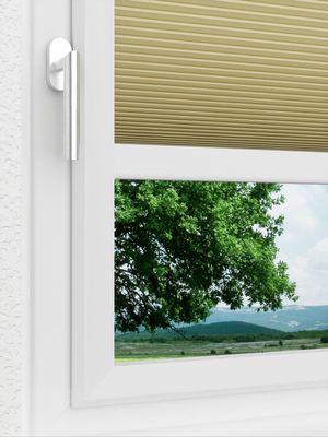 Preview LYSEL HOME Dubbele Plissé 025A Nana BO 3