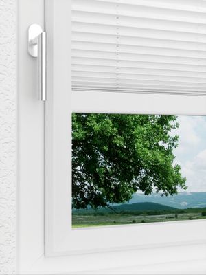 Preview LYSEL HOME Plissé 103B Aralia BO 3