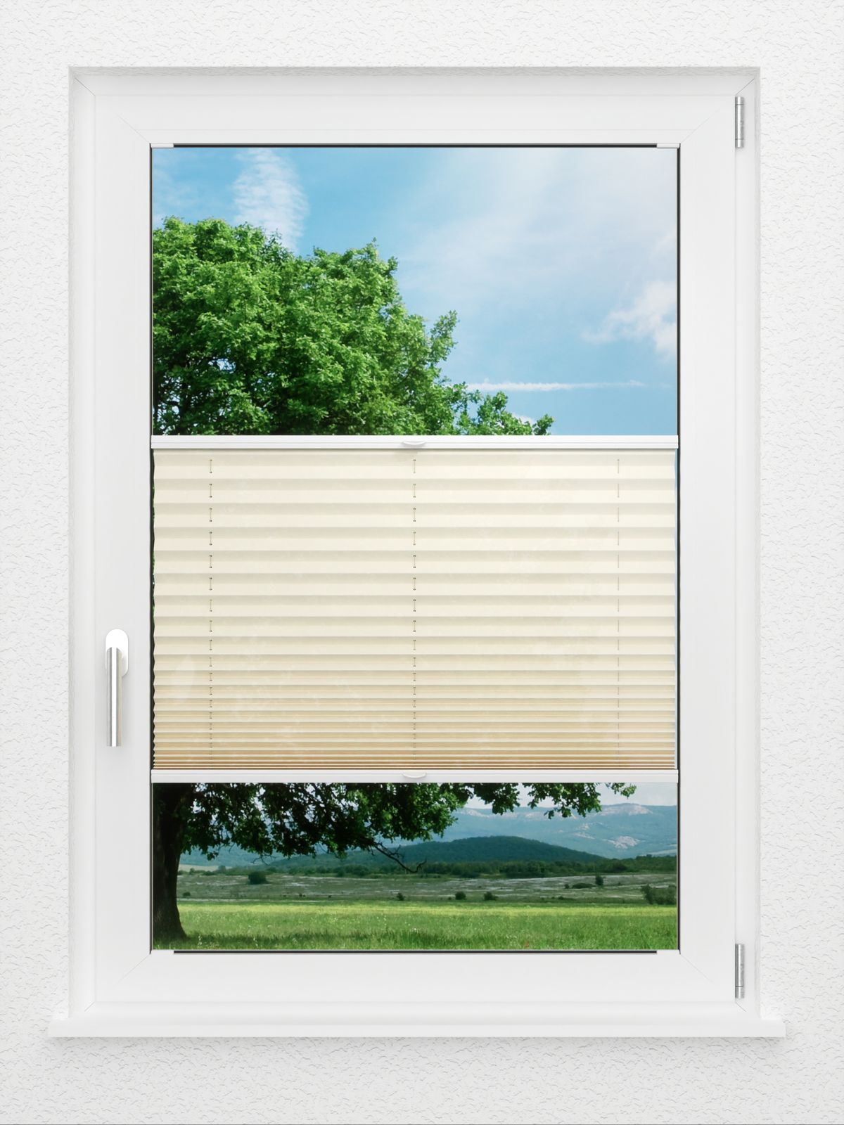 Detailansicht LYSEL HOME Plissé 207A Aralia