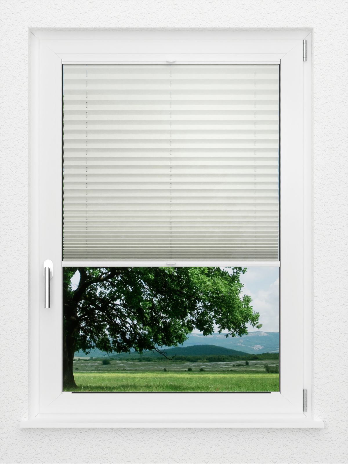 Detailansicht LYSEL HOME Plissé 206A Aralia