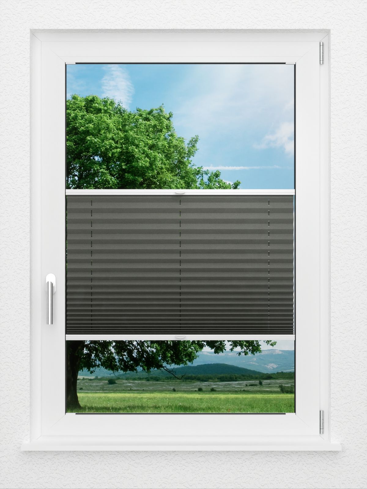 Detailansicht LYSEL HOME Plissé 208A Aralia