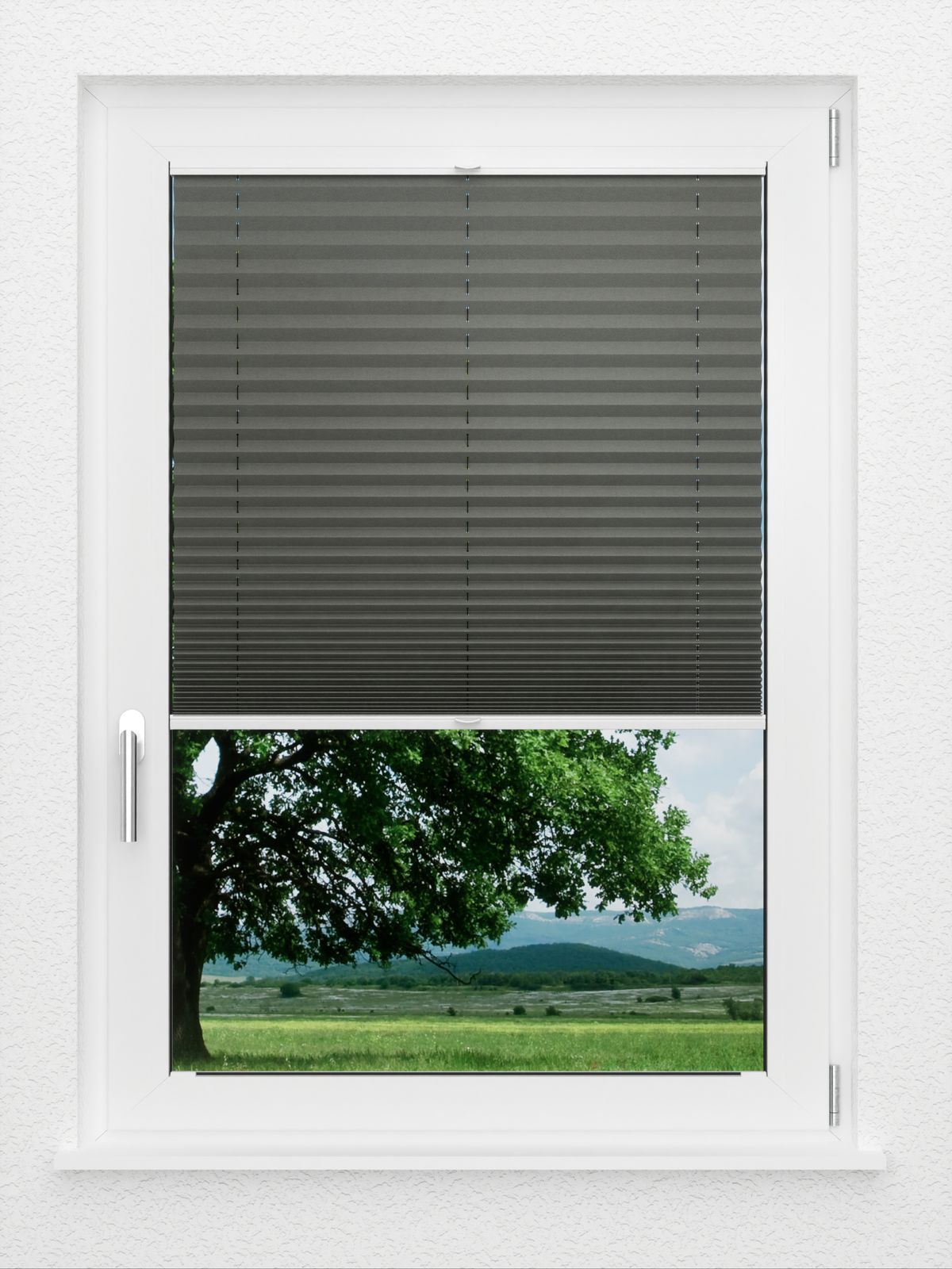 Detailansicht LYSEL HOME Plissé 208A Aralia