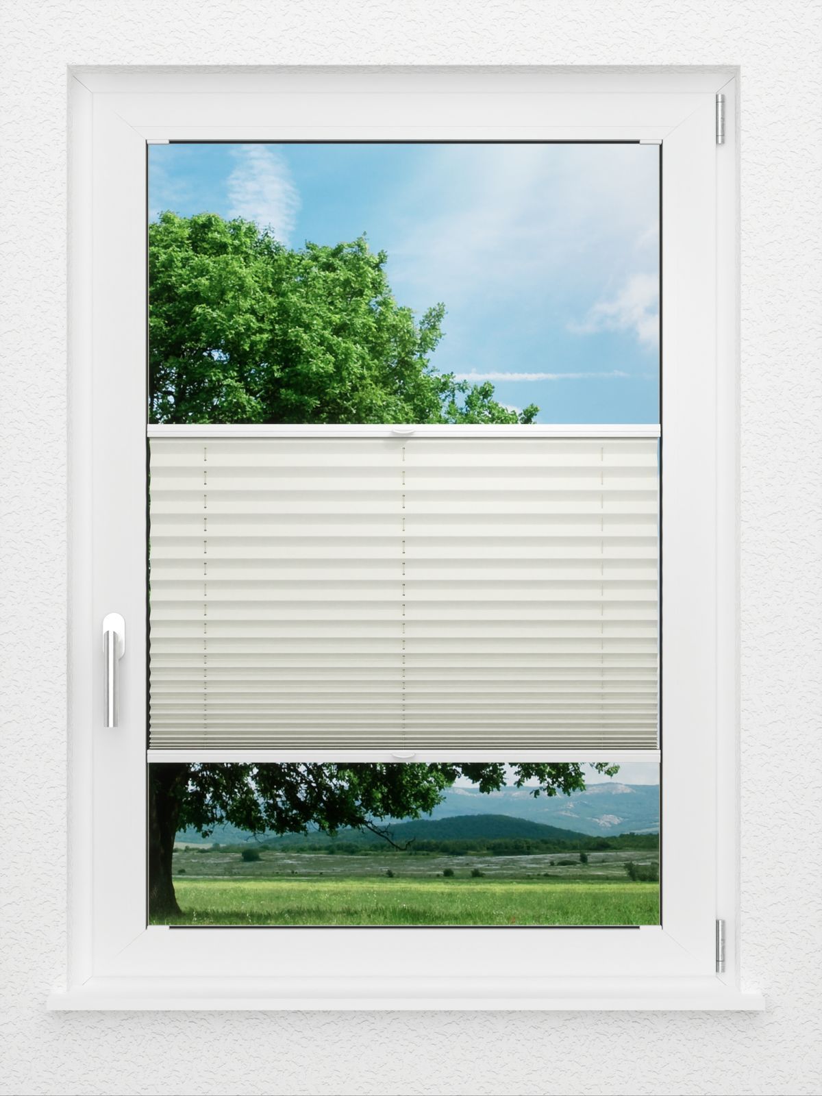 Detailansicht LYSEL HOME Plissé 219A Aralia BO