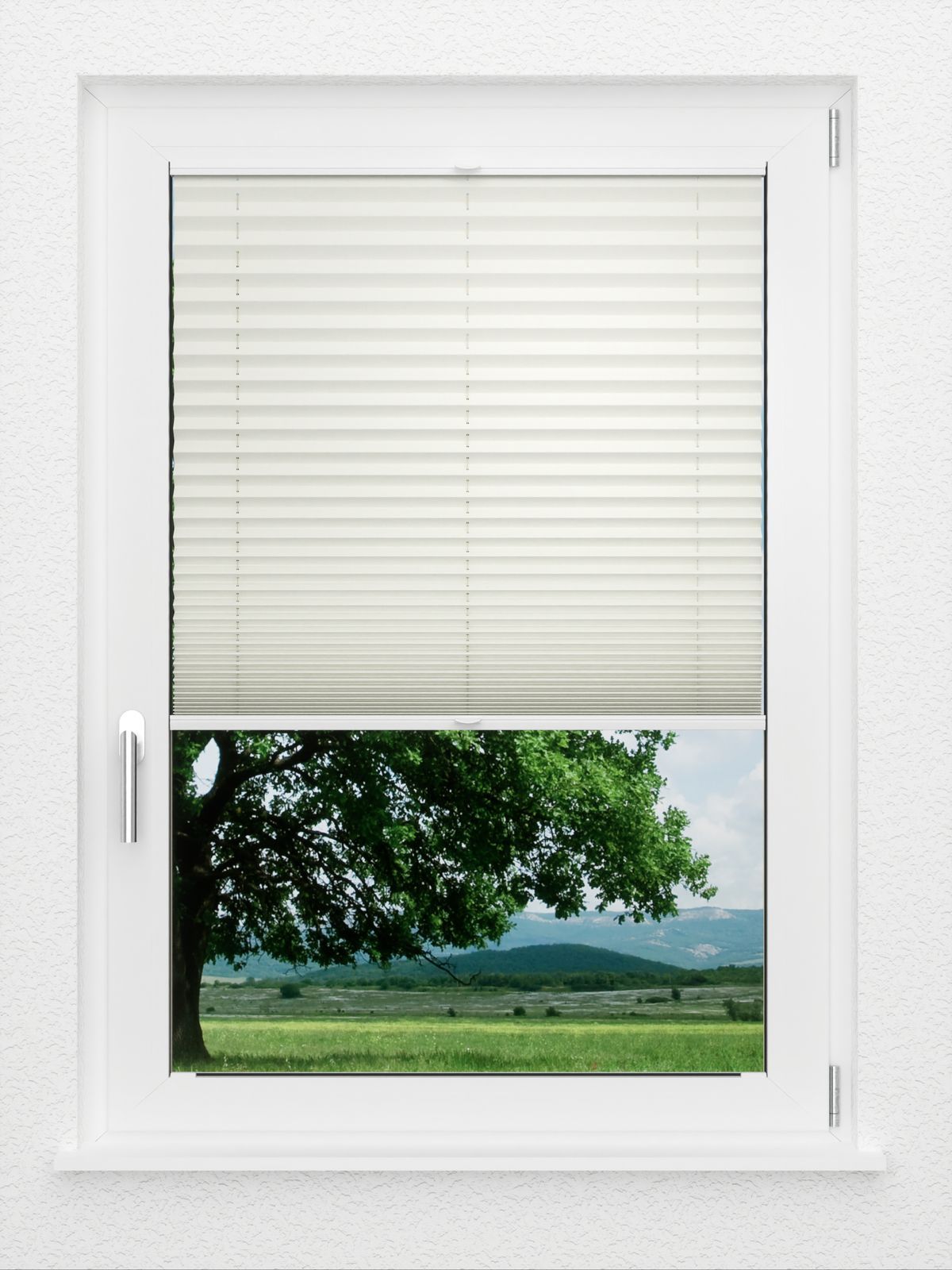 Detailansicht LYSEL HOME Plissé 219A Aralia BO