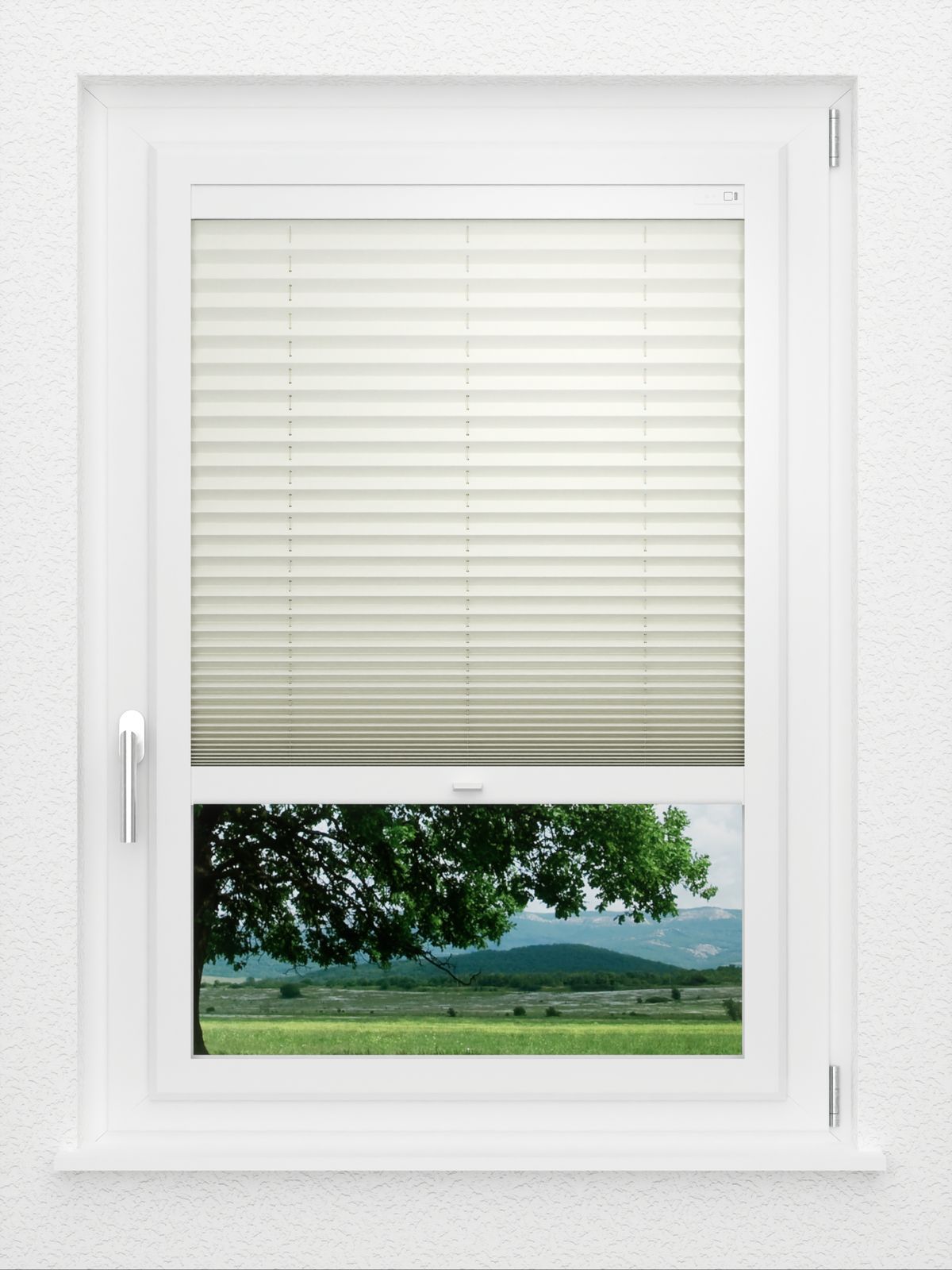Detailansicht LYSEL HOME Plissé 219A Aralia BO