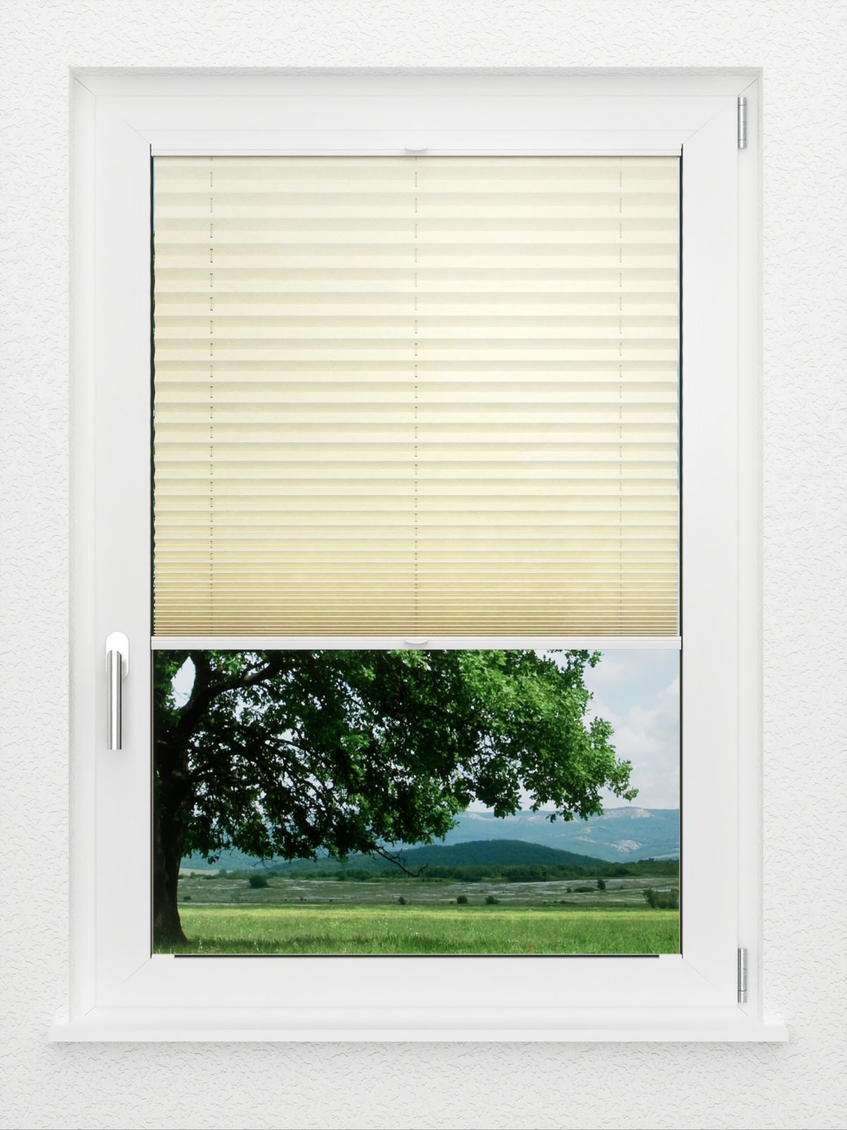 Detailansicht LYSEL HOME Plissé 107A Erinus