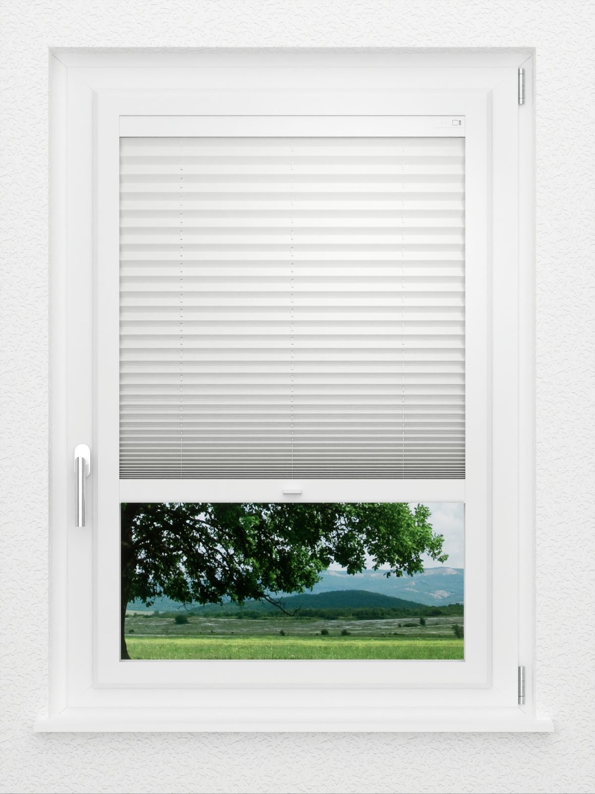 Detailansicht LYSEL HOME Plissé 121A Pinus BO