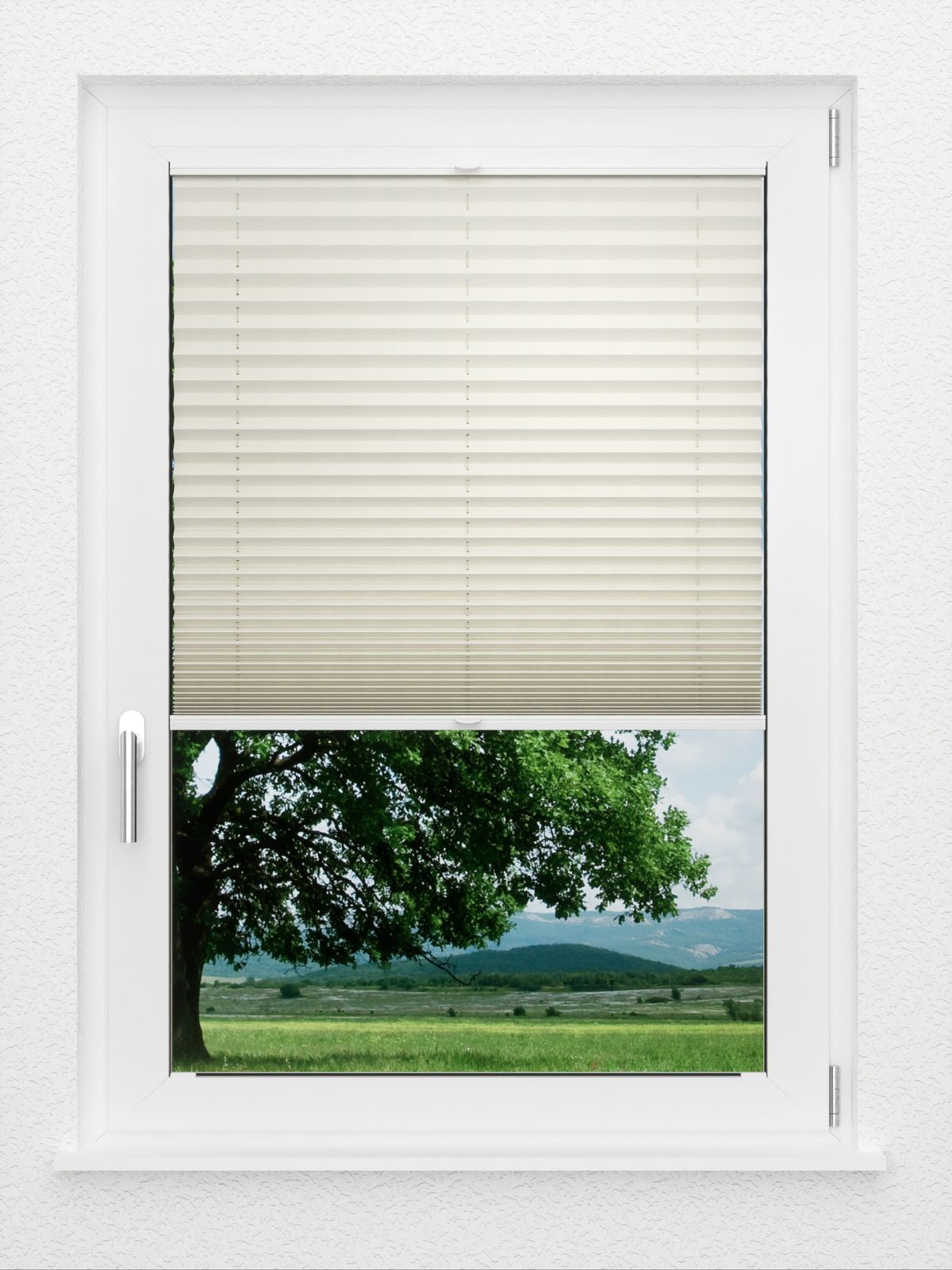 Detailansicht LYSEL HOME Plissé 122A Pinus BO