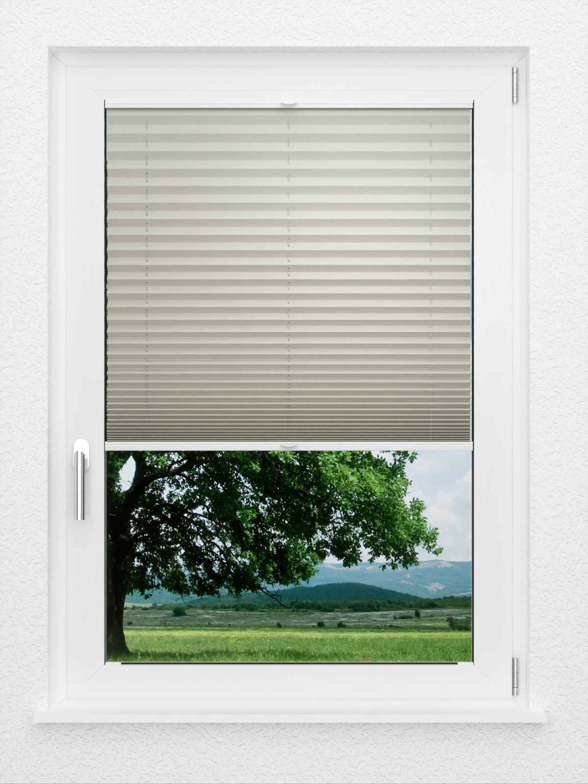 Detailansicht LYSEL HOME Plissé 114A Pinus BO