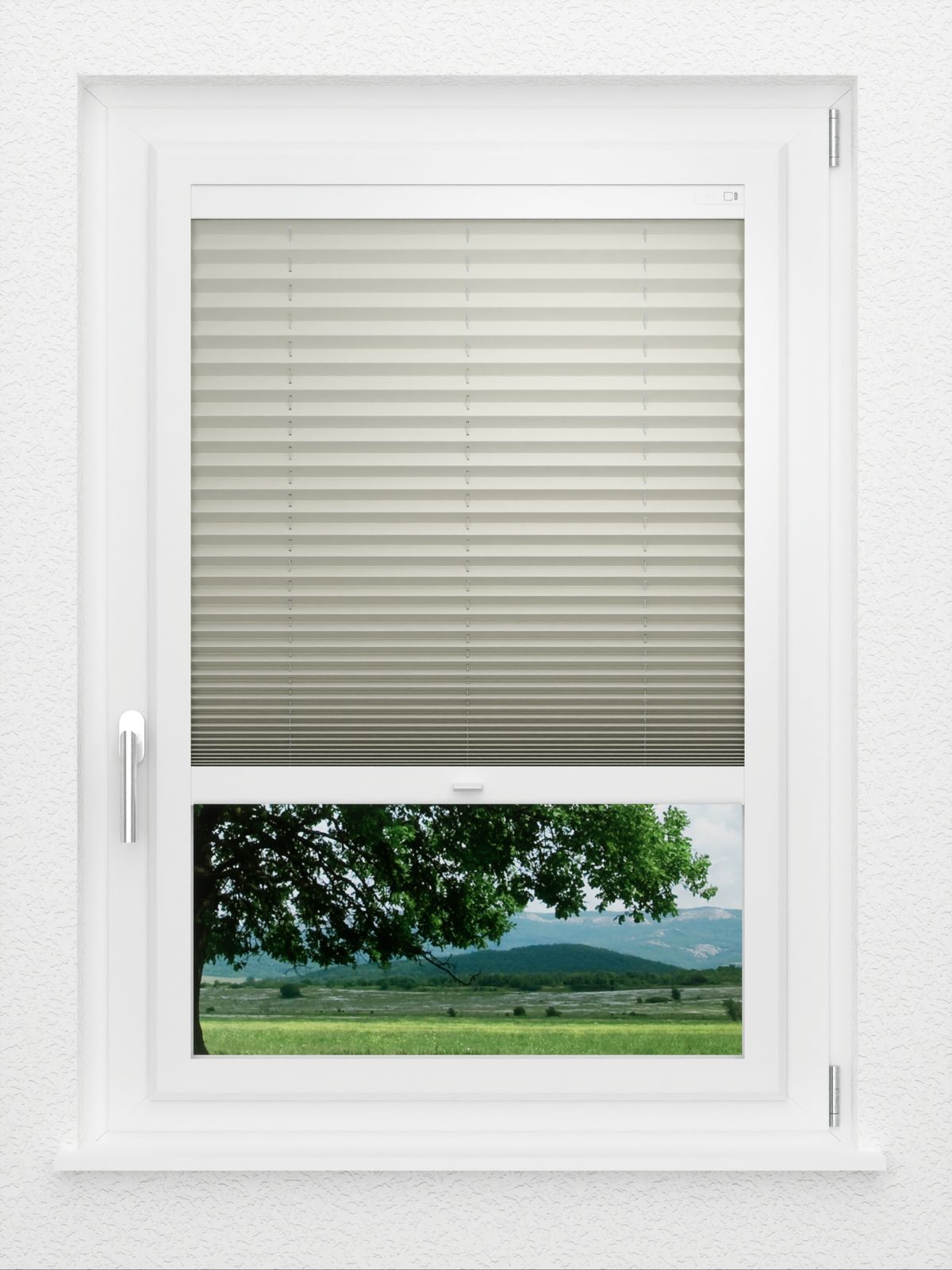 Detailansicht LYSEL HOME Plissé 114A Pinus BO
