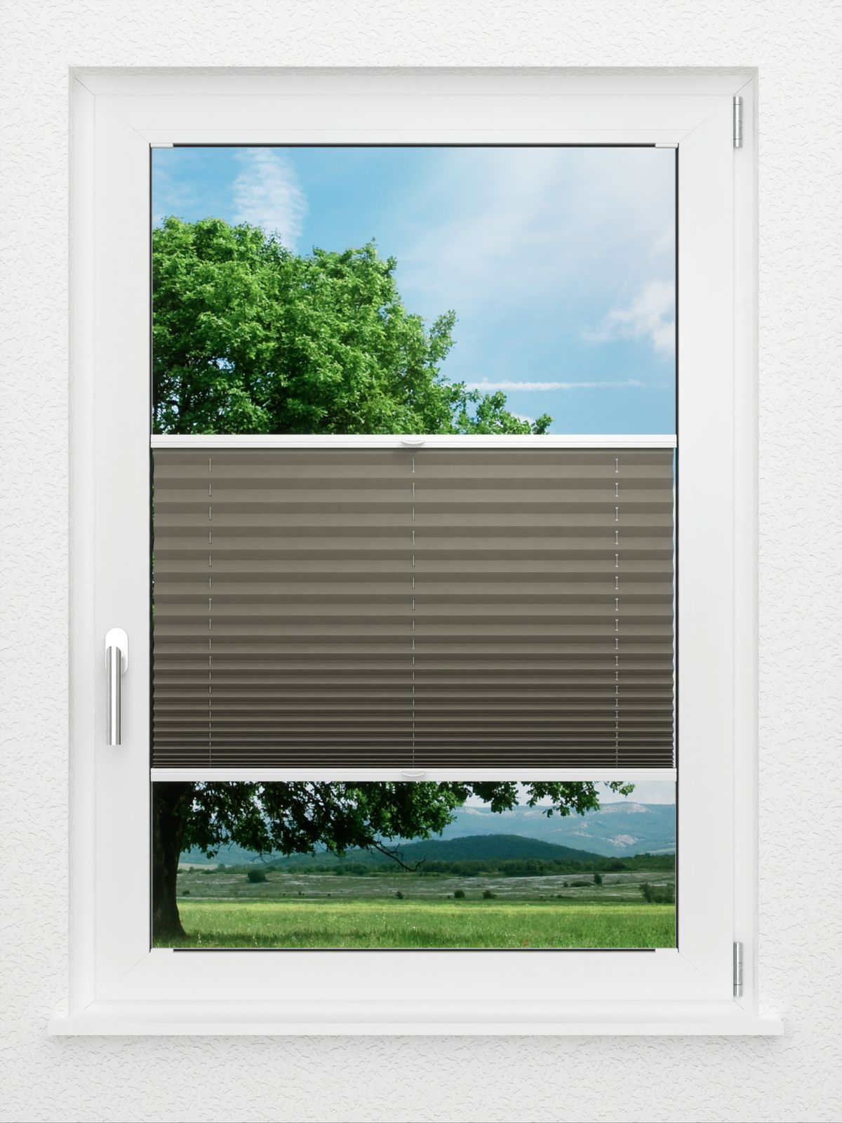 Detailansicht LYSEL HOME Plissé 221A Pinus BO