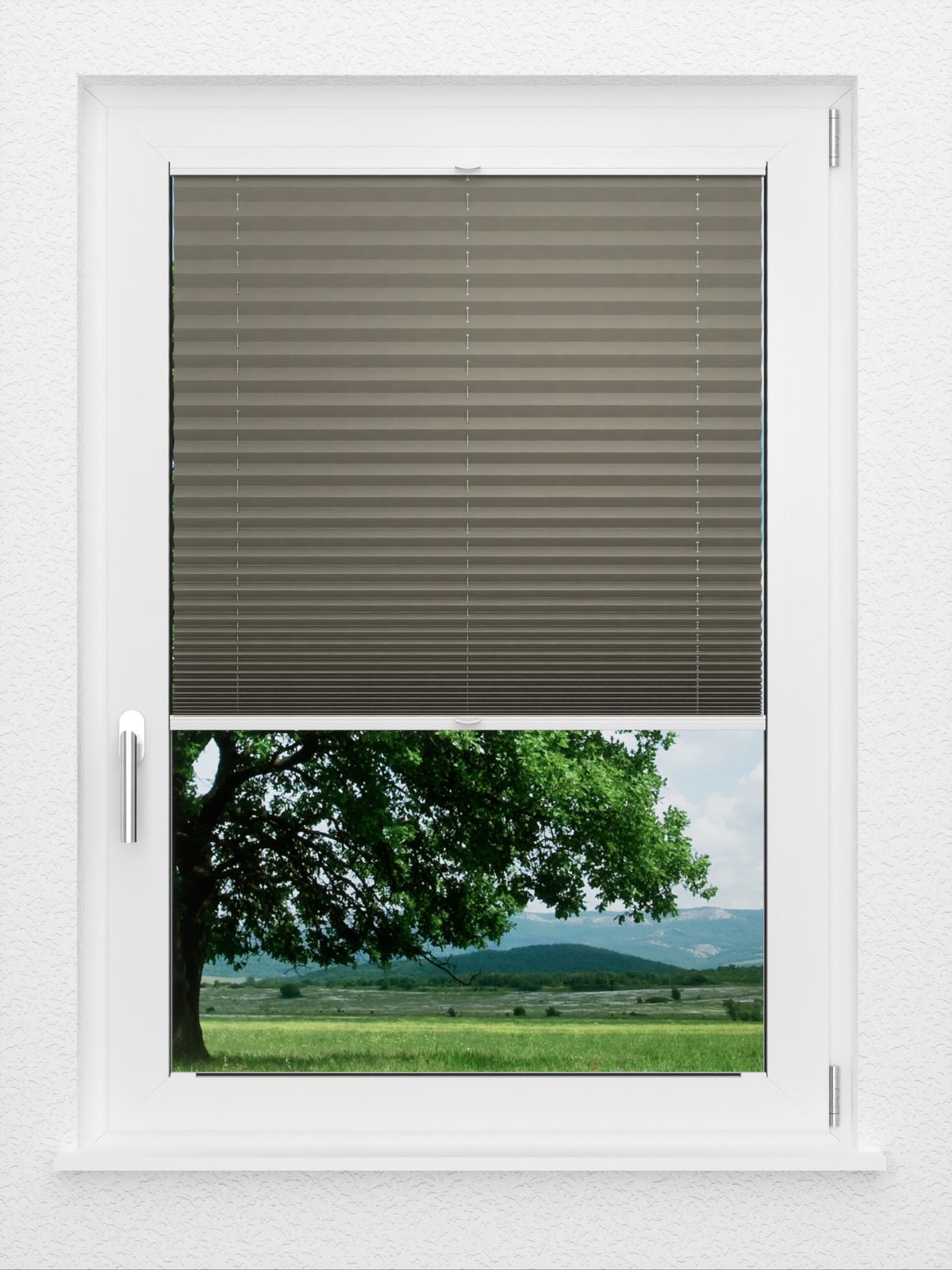 Detailansicht LYSEL HOME Plissé 221A Pinus BO