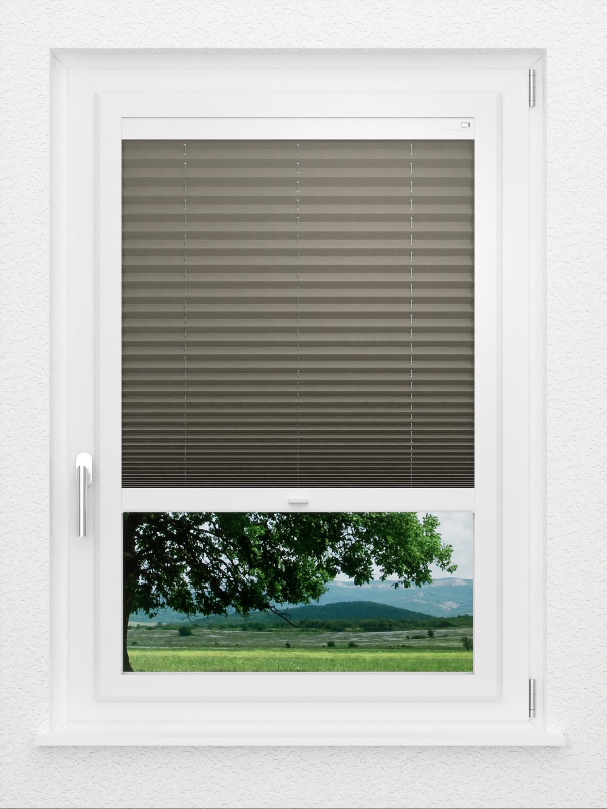 Detailansicht LYSEL HOME Plissé 221A Pinus BO
