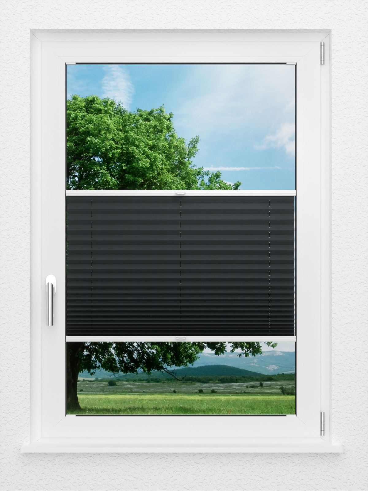 Detailansicht LYSEL HOME Plissé 116A Pinus BO