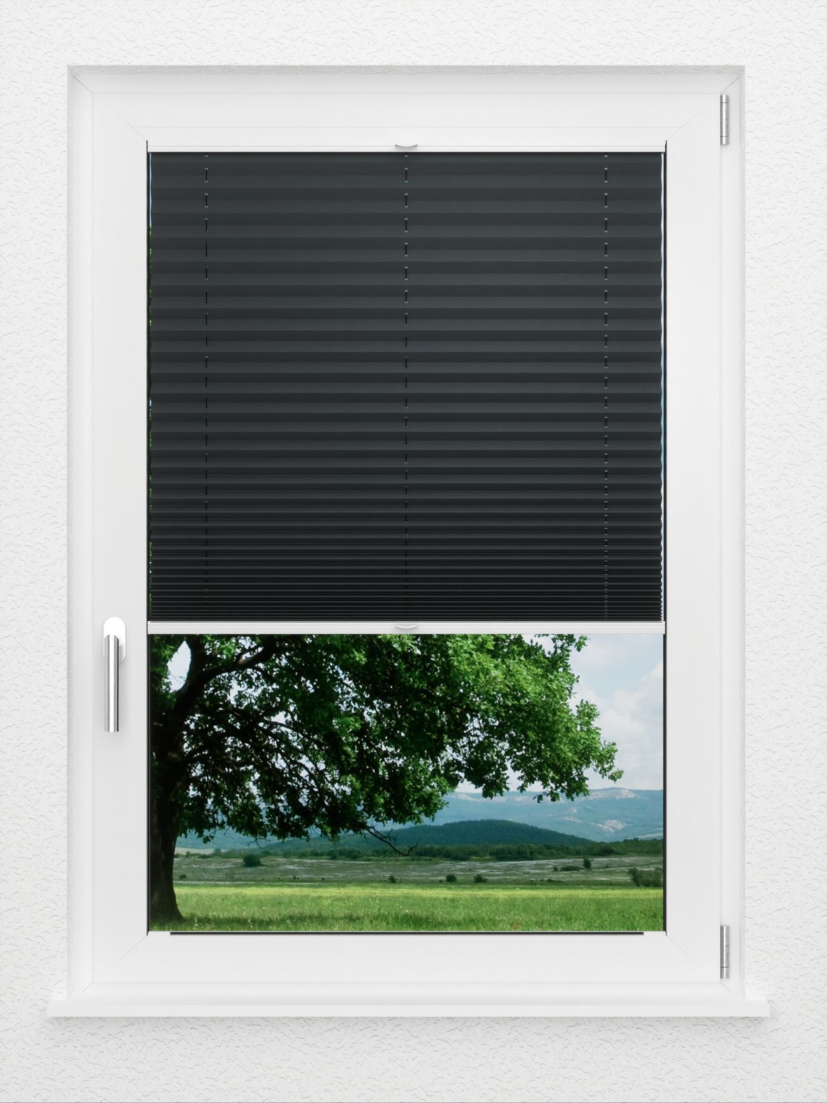 Detailansicht LYSEL HOME Plissé 116A Pinus BO