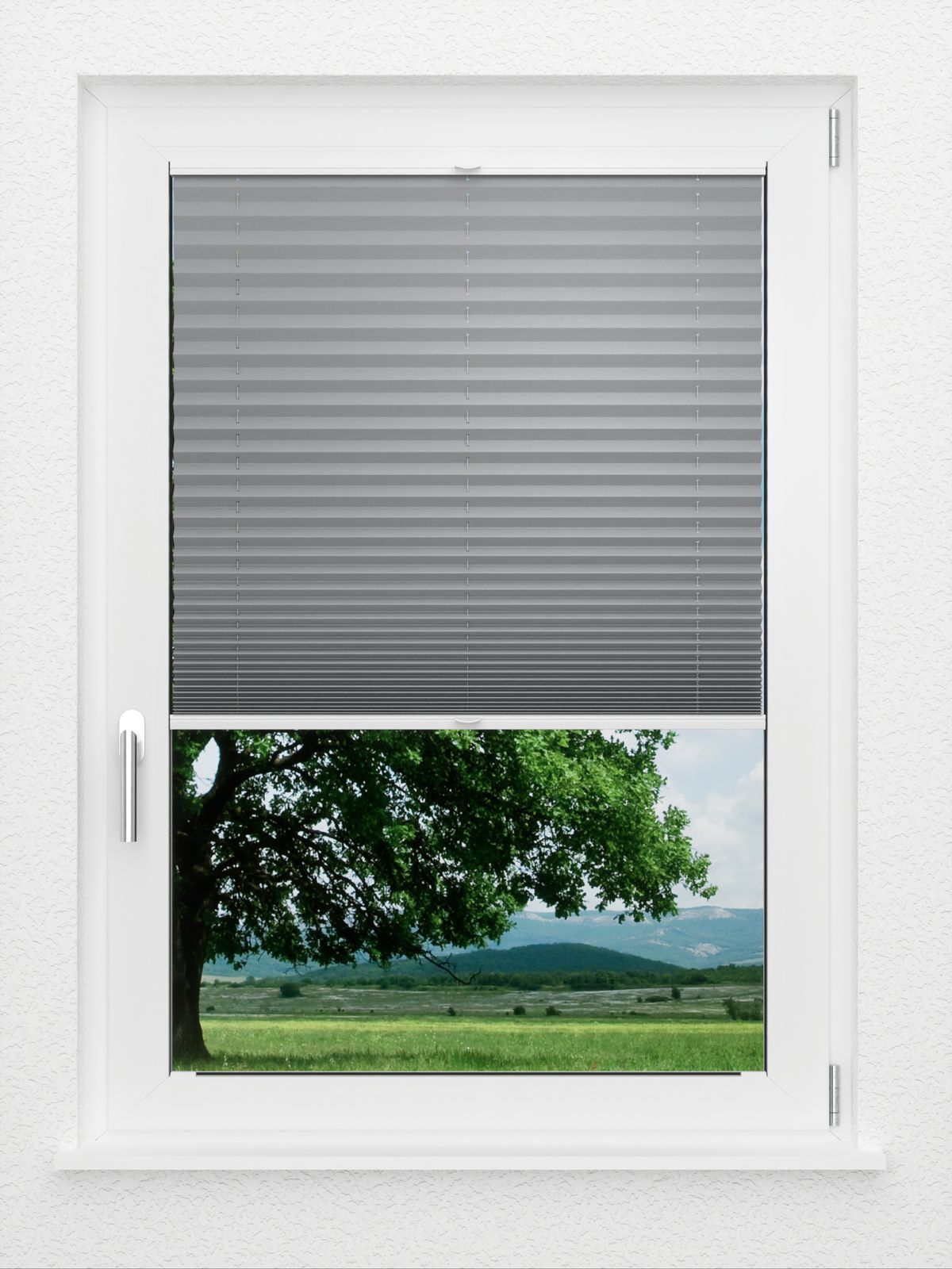 Detailansicht LYSEL HOME Plissé 218A Pinus BO