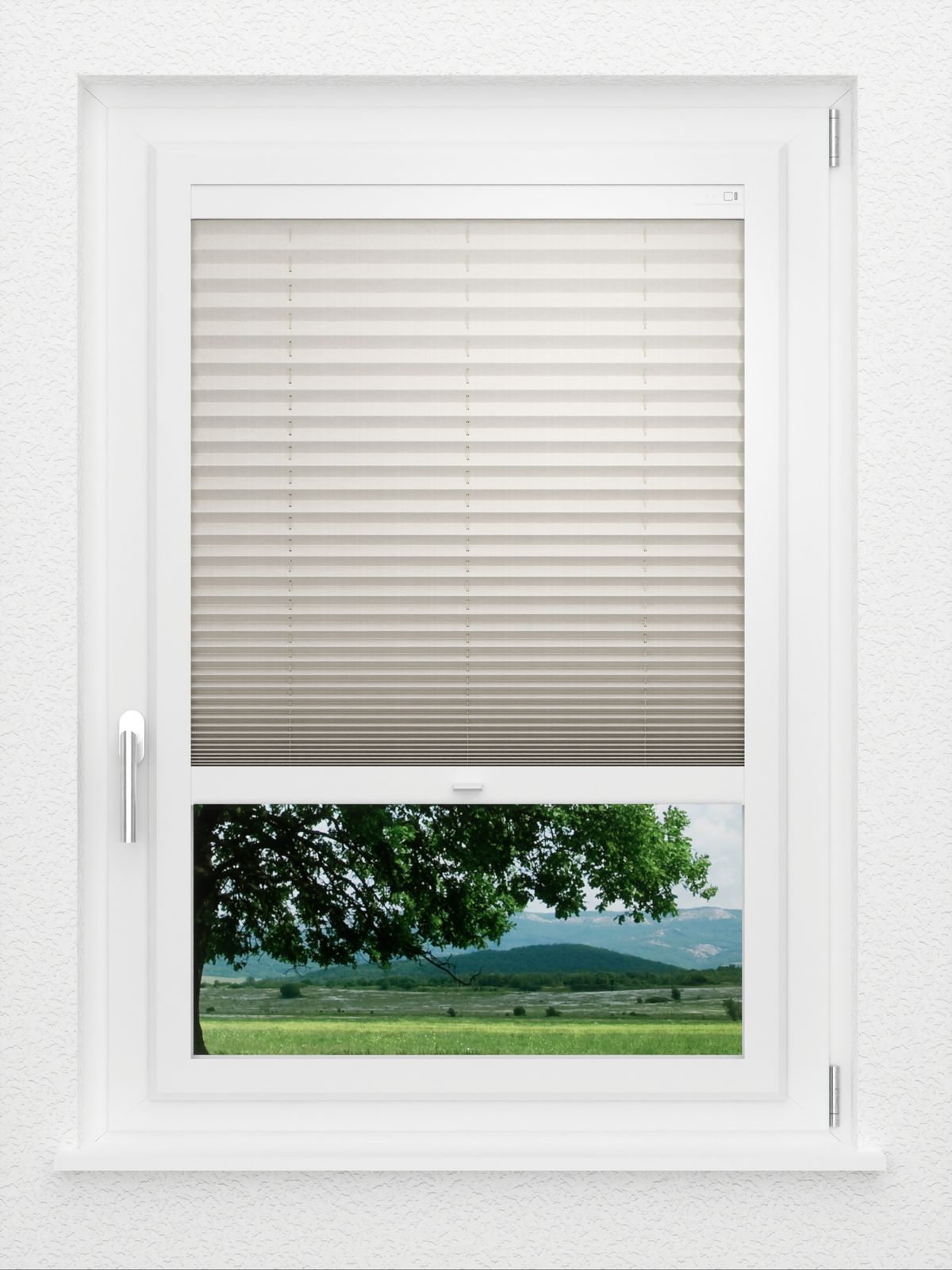 Detailansicht LYSEL HOME Plissé 213A Betula BO