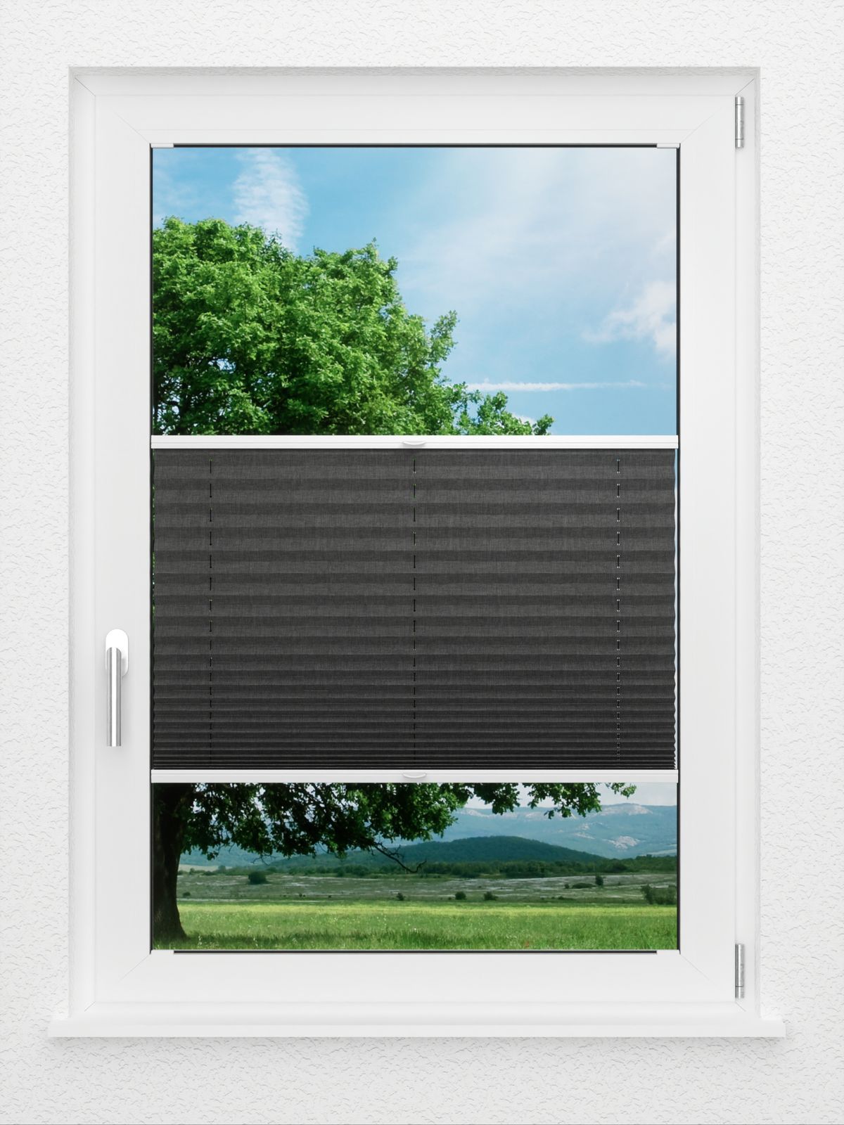 Detailansicht LYSEL HOME Plissé 117A Betula BO