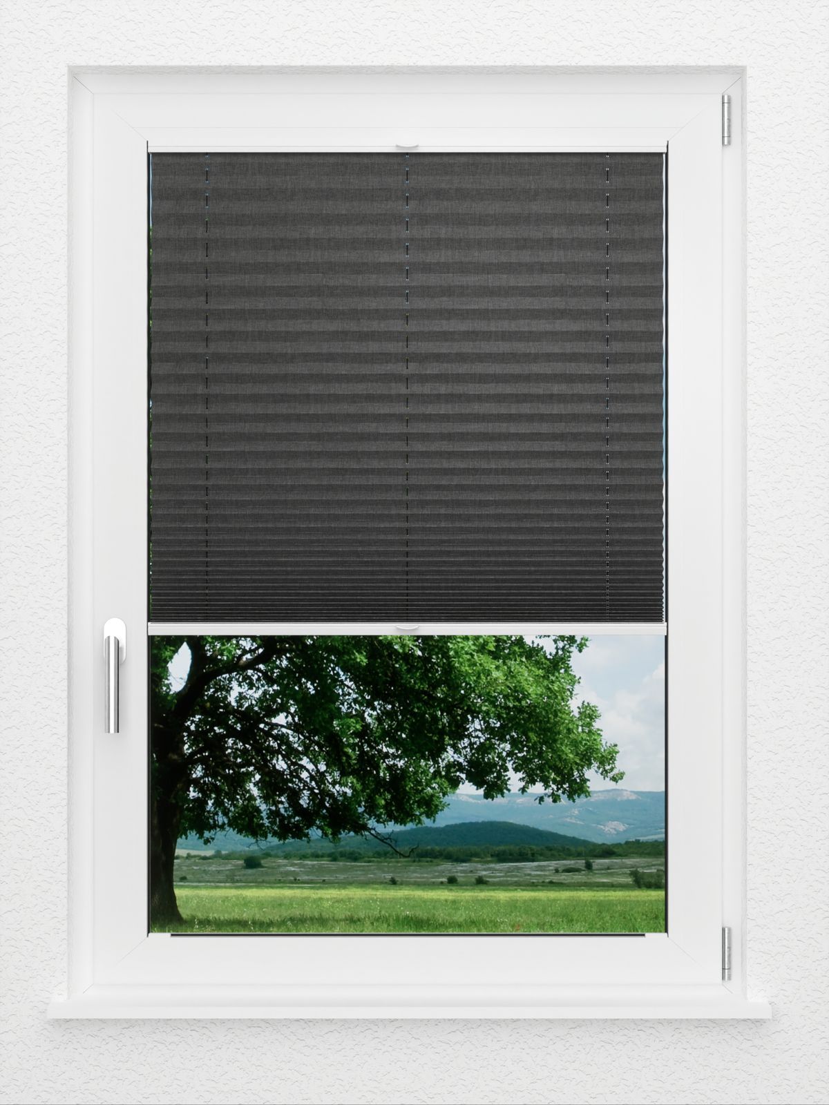 Detailansicht LYSEL HOME Plissé 117A Betula BO