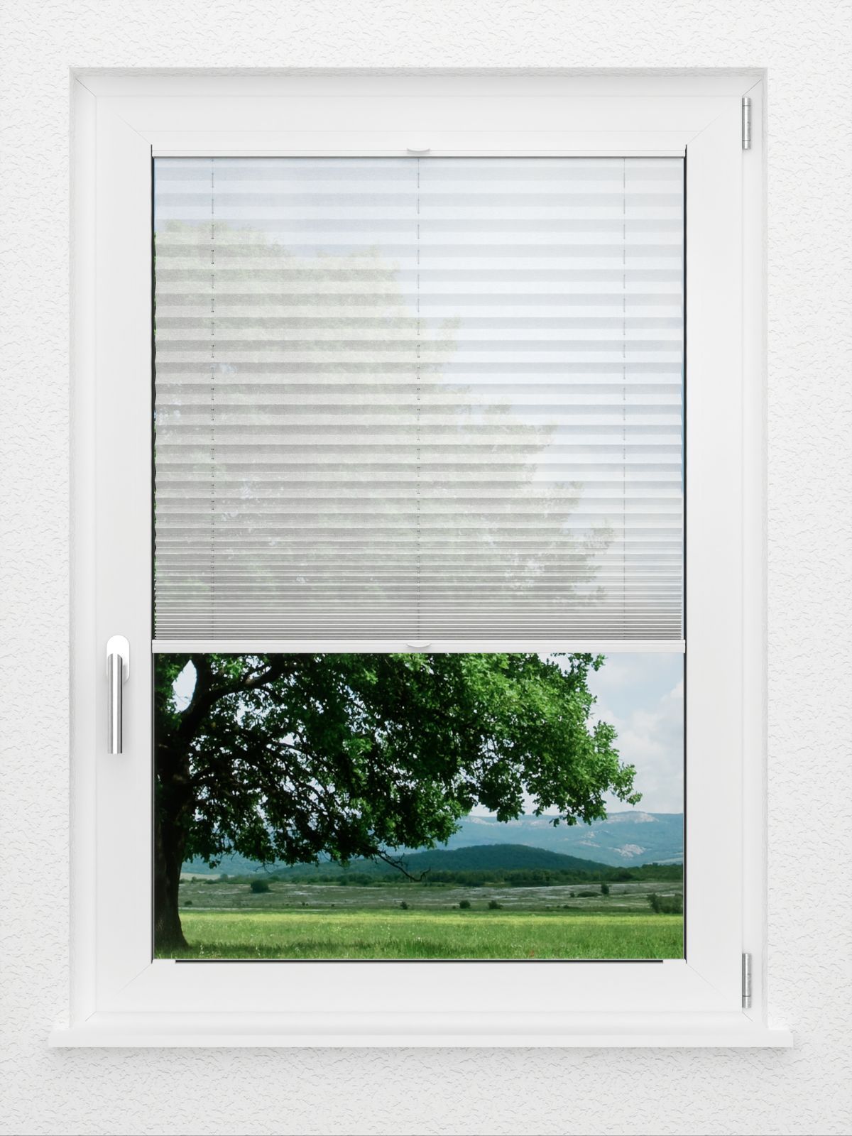 Detailansicht LYSEL HOME Plissé 113A Calluna