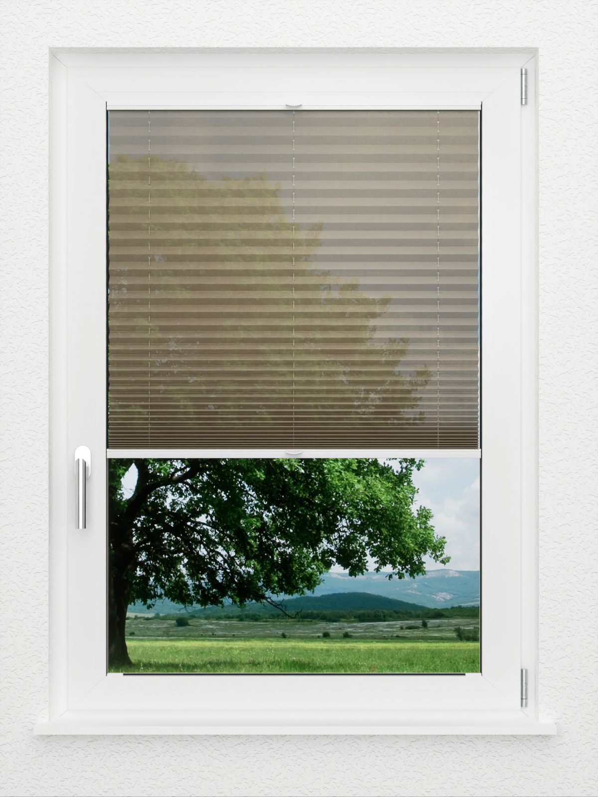 Detailansicht LYSEL HOME Plissé 111A Calluna