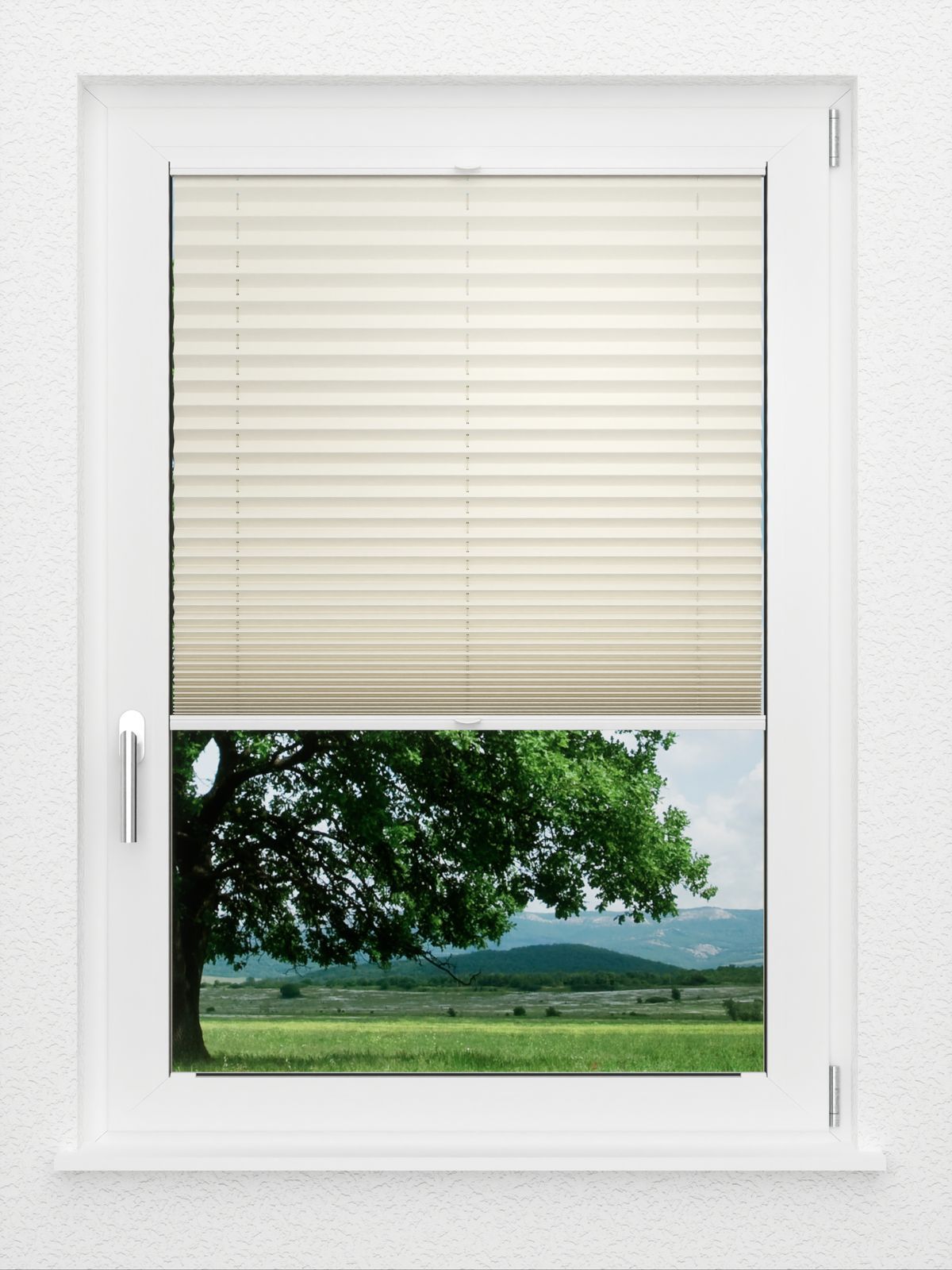 Detailansicht LYSEL HOME Plissé 115A Inula