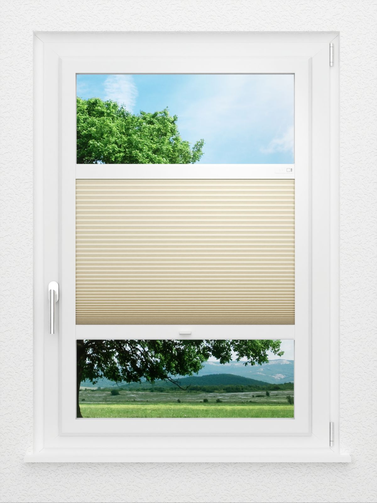 Detailansicht LYSEL HOME Plissee 033A Nana BO Wabe
