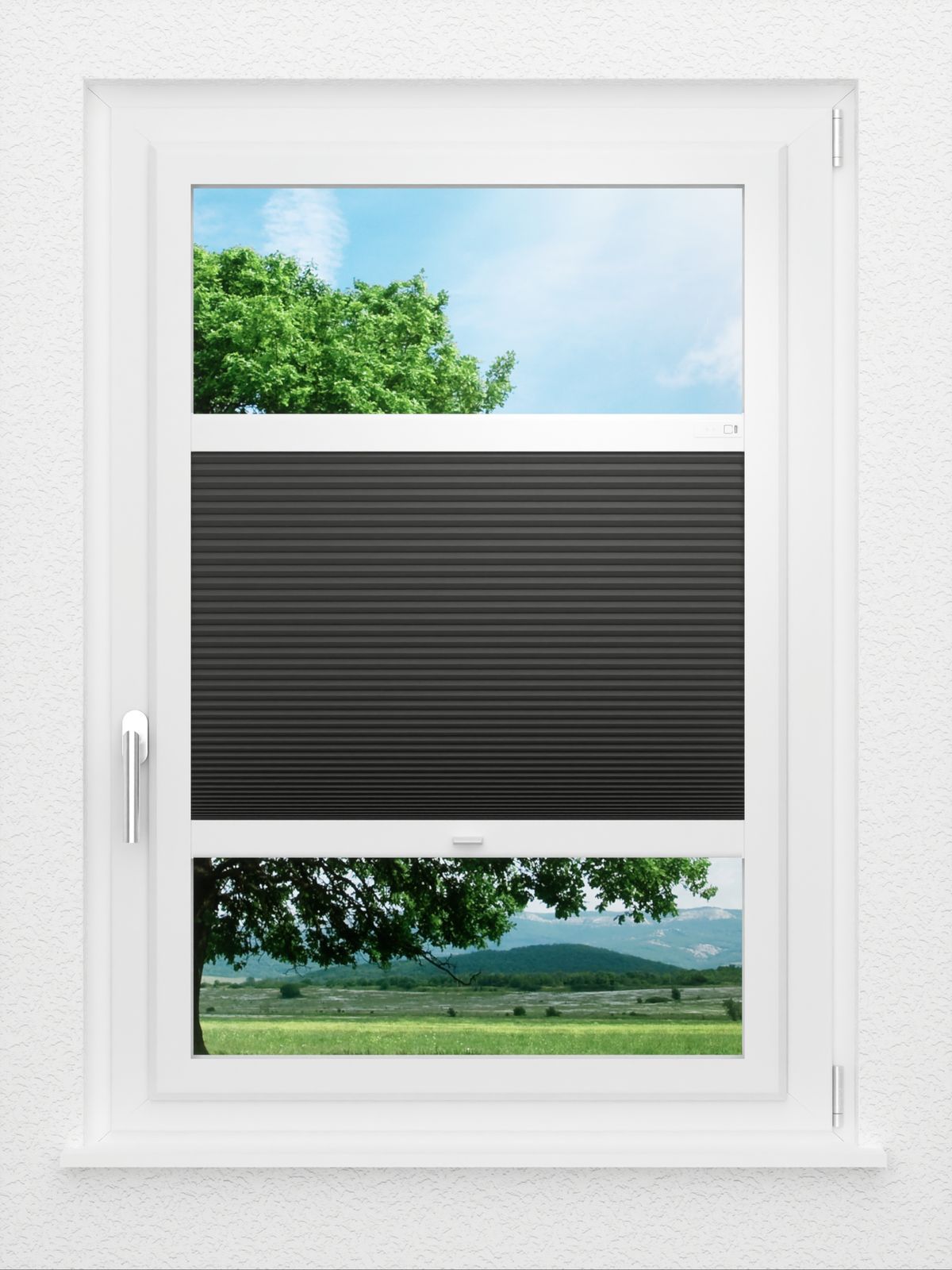 Detailansicht LYSEL HOME Plissee 034A Nana BO Wabe