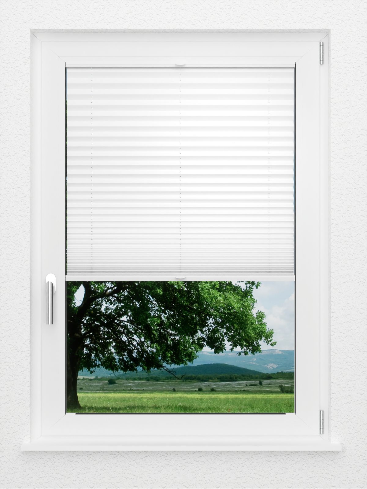 Detailansicht LYSEL HOME Plissé 103B Aralia BO