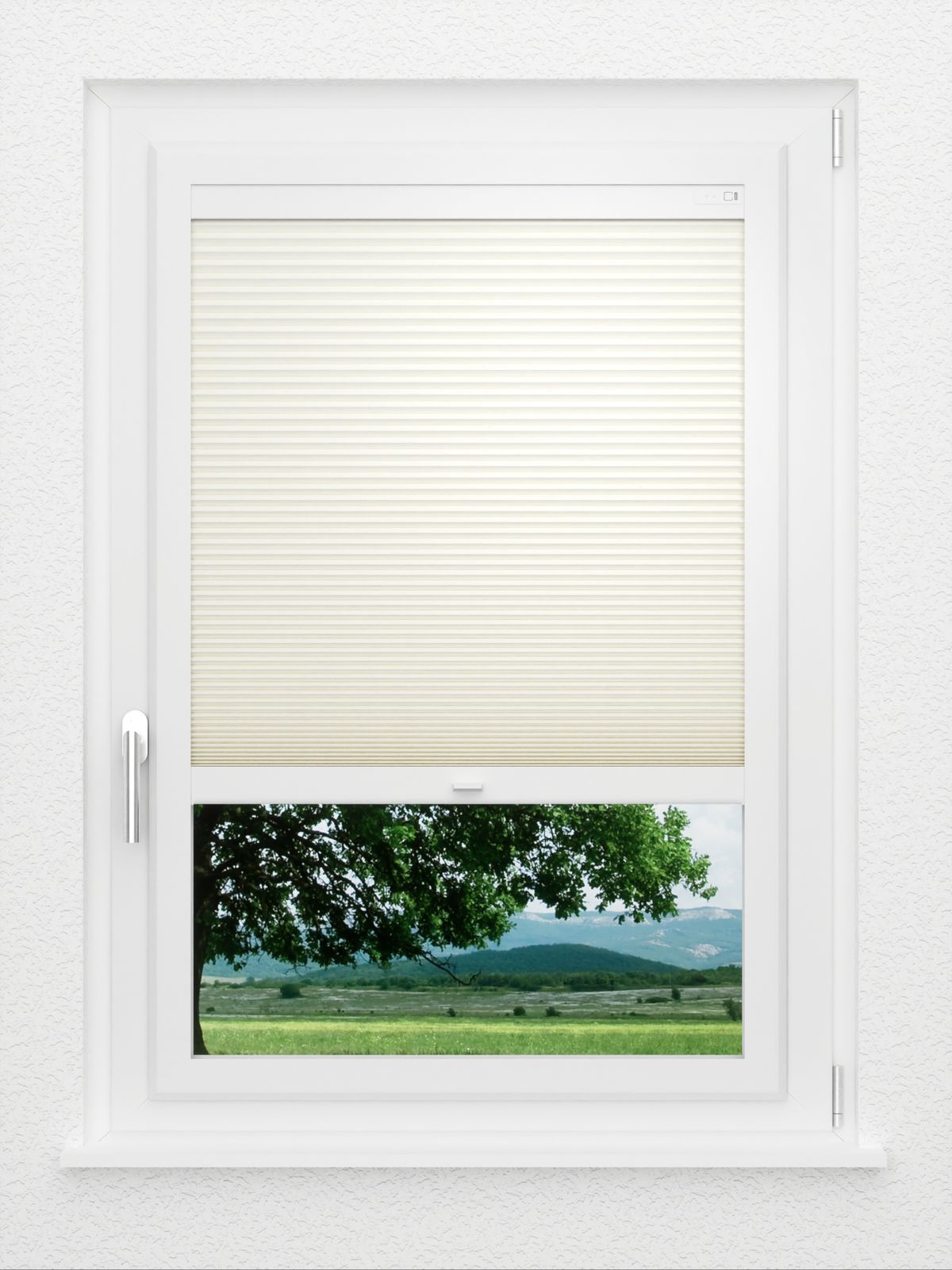 Detailansicht LYSEL HOME Plissee 017A Calluna Wabe