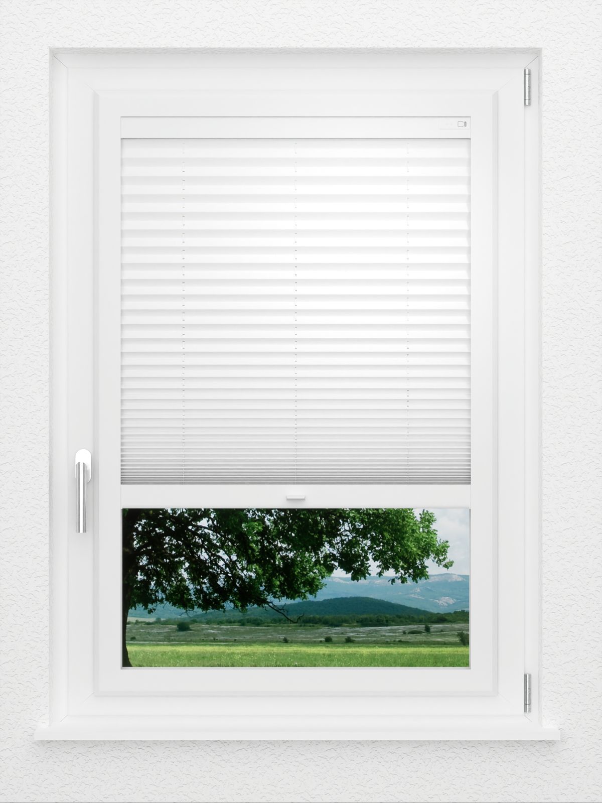 Detailansicht LYSEL HOME Plissé 205B Aralia