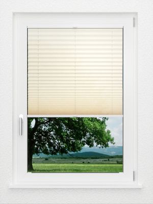 Preview LYSEL HOME Plissé 207A Aralia 1