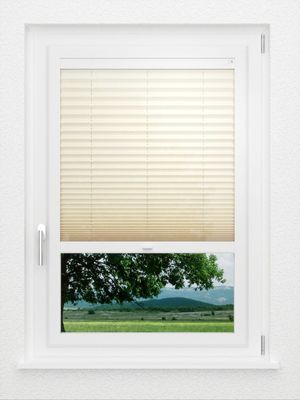 Preview LYSEL HOME Plissé 207A Aralia 1