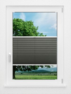 Preview LYSEL HOME Plissé 208A Aralia 0