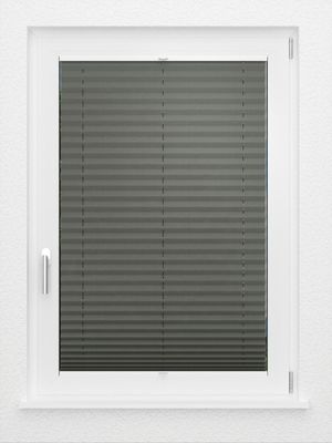 Preview LYSEL HOME Plissé 208A Aralia 2