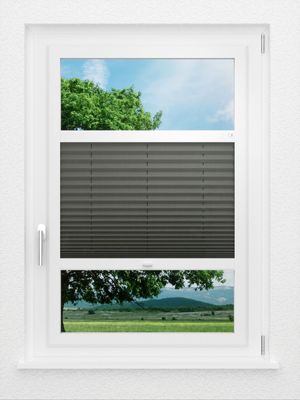 Preview LYSEL HOME Plissé 208A Aralia 0