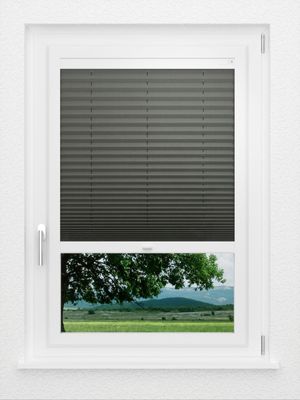 Preview LYSEL HOME Plissé 208A Aralia 1