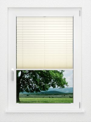 Preview LYSEL HOME Plissé 101A Aralia Parel 1