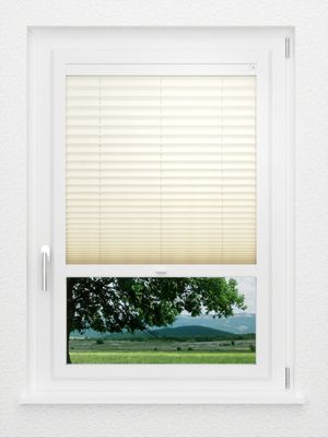 Preview LYSEL HOME Plissé 101A Aralia Parel 1