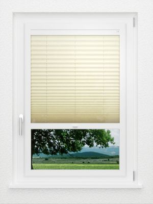 Preview LYSEL HOME Plissé 107A Erinus 1