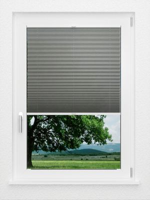 Preview LYSEL HOME Plissé 109A Erinus 1