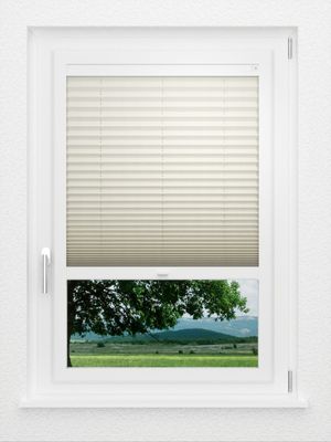 Preview LYSEL HOME Plissé 122A Pinus BO 1