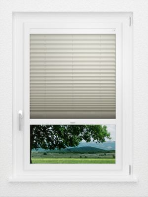 Preview LYSEL HOME Plissé 114A Pinus BO 1