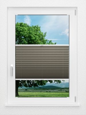 Preview LYSEL HOME Plissé 221A Pinus BO 0