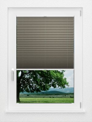 Preview LYSEL HOME Plissé 221A Pinus BO 1