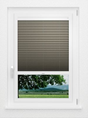 Preview LYSEL HOME Plissé 221A Pinus BO 1
